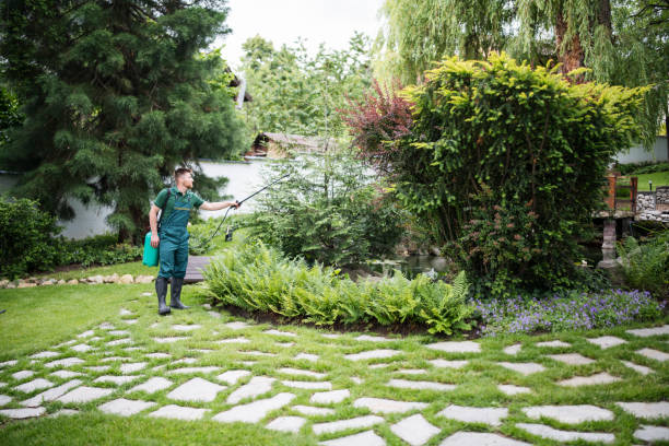 Best Flea Control Services  in Level Green, PA