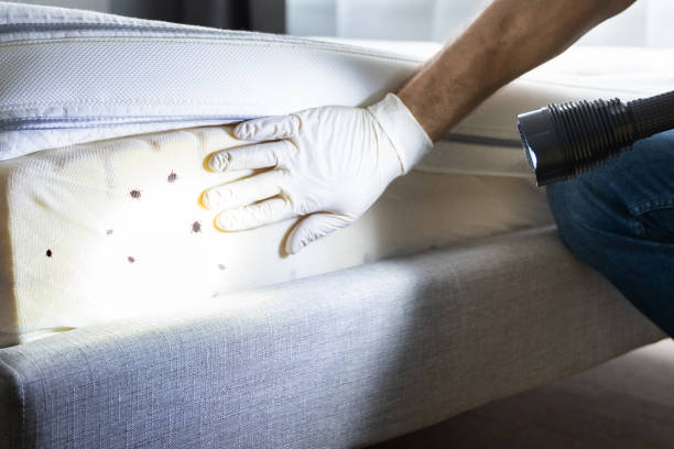 Professional Pest Control in Level Green, PA